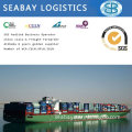 Reliable Shipping Agent From China to USA